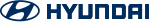 Aditya Narain Hyundai
